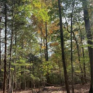 Photo #8 of 6244 RA Austin, Marshville, NC
