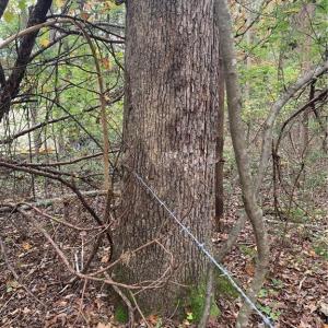 Photo #3 of 6244 RA Austin, Marshville, NC