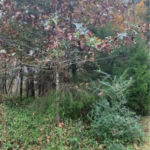 Photo #7 of 6244 RA Austin, Marshville, NC