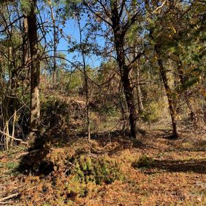 Photo #4 of 120 Lakeshore, Chesnee, SC