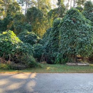 Photo #2 of 169 Lakeshore, Chesnee, SC
