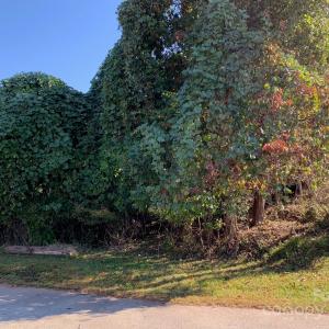 Photo #3 of 169 Lakeshore, Chesnee, SC