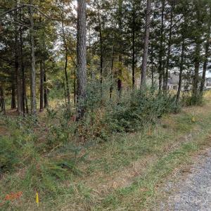 Photo #6 of 3.447 acres Spratt, York, SC