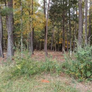 Photo #5 of 3.447 acres Spratt, York, SC