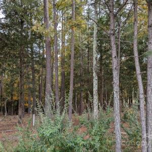 Photo #4 of 3.447 acres Spratt, York, SC