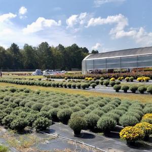 Photo #1 of 32544 Hwy 9, Pageland, SC