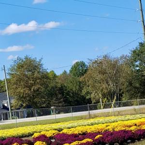 Photo #34 of 32544 Hwy 9, Pageland, SC