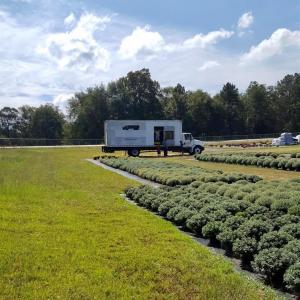 Photo #33 of 32544 Hwy 9, Pageland, SC