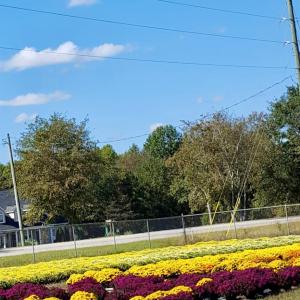 Photo #34 of 32544 Hwy 9, Pageland, SC