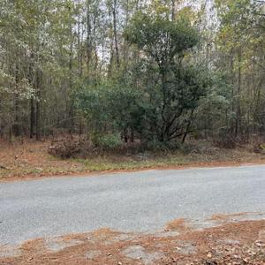Photo #2 of Lot 4 Hudson, Summerton, SC