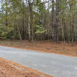 Photo #3 of Lot 4 Hudson, Summerton, SC