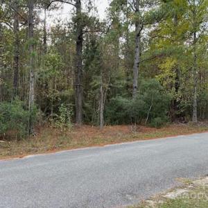 Photo #2 of Lot 5 Hudson, Summerton, SC