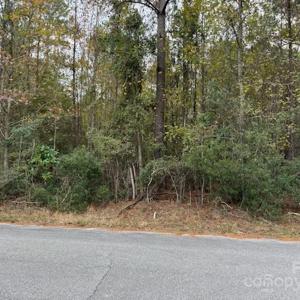 Photo #3 of Lot 5 Hudson, Summerton, SC