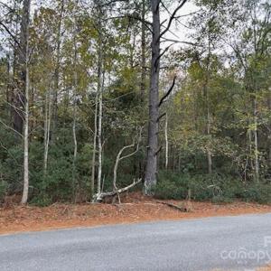Photo #2 of Lot 6 Hudson, Summerton, SC