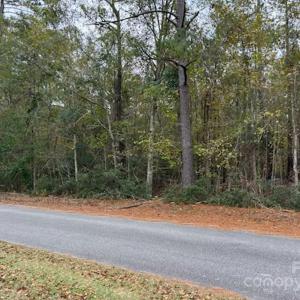 Photo #3 of Lot 6 Hudson, Summerton, SC