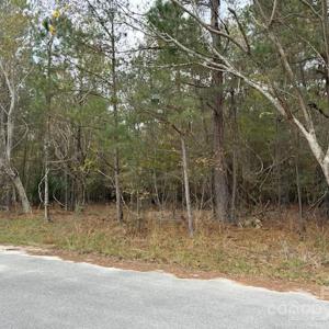Photo #3 of Lot 8 Hudson, Summerton, SC