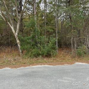 Photo #2 of Lot 8 Hudson, Summerton, SC