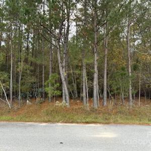 Photo #3 of Lot 9 Hudson, Summerton, SC