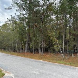 Photo #2 of Lot 9 Hudson, Summerton, SC