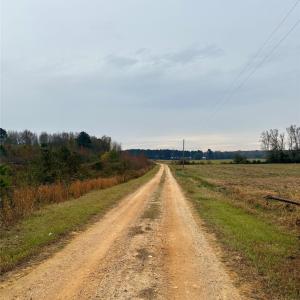 Photo #13 of Mt Pisgah Church, Jefferson, SC