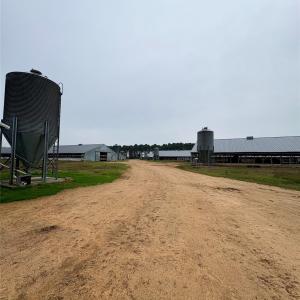 Photo #9 of Mt Pisgah Church, Jefferson, SC