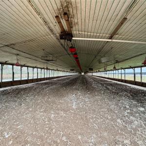 Photo #11 of Mt Pisgah Church, Jefferson, SC