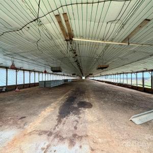 Photo #5 of Mt Pisgah Church, Jefferson, SC