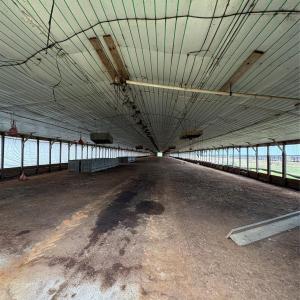 Photo #6 of Mt Pisgah Church, Jefferson, SC