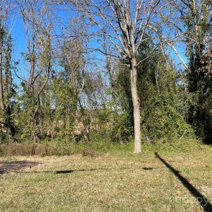 Photo #3 of TBD Blythe Mill, Waxhaw, NC