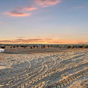 Photo #6 of 2632 Mcbride, Patrick, SC