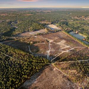 Photo #10 of 2632 Mcbride, Patrick, SC