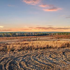 Photo #5 of 2632 Mcbride, Patrick, SC