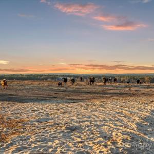 Photo #7 of 2632 Mcbride, Patrick, SC