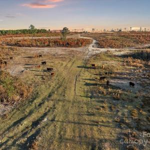 Photo #17 of 2632 Mcbride, Patrick, SC