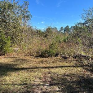 Photo #5 of Spring Branch, Laurinburg, NC