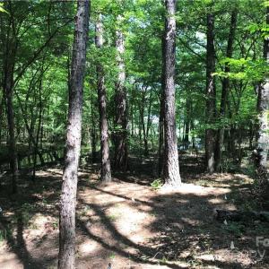 Photo #10 of 2793 Catawba, Great Falls, SC