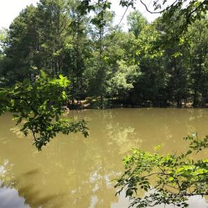 Photo #13 of 2793 Catawba, Great Falls, SC