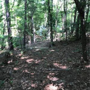 Photo #9 of 2793 Catawba, Great Falls, SC