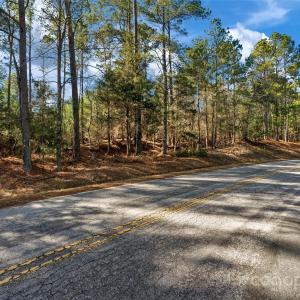 Photo #3 of Old Douglass, Blackstock, SC