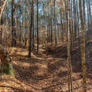 Photo #28 of Old Douglass, Blackstock, SC