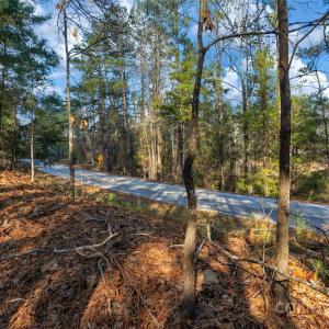 Photo #21 of Old Douglass, Blackstock, SC