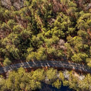 Photo #14 of Old Douglass, Blackstock, SC