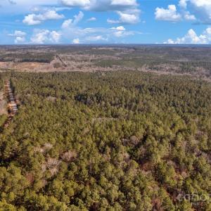 Photo #18 of Old Douglass, Blackstock, SC