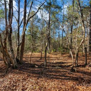 Photo #15 of Old Douglass, Blackstock, SC