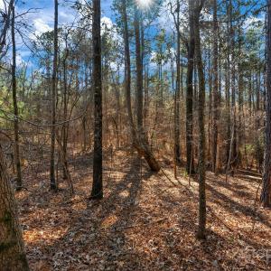 Photo #10 of Old Douglass, Blackstock, SC