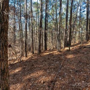 Photo #6 of Old Douglass, Blackstock, SC