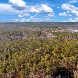 Photo #9 of Old Douglass, Blackstock, SC
