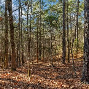 Photo #16 of Old Douglass, Blackstock, SC