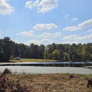 Photo #5 of 210 Fancy Lady, York, SC