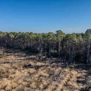 Photo #19 of off Camp Oak, Dover, NC